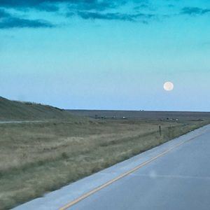 Meet your Posher, Brad